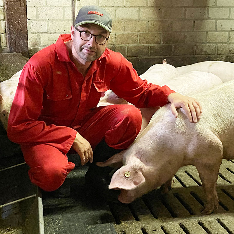 Schweinehaltung Hof Beckhove